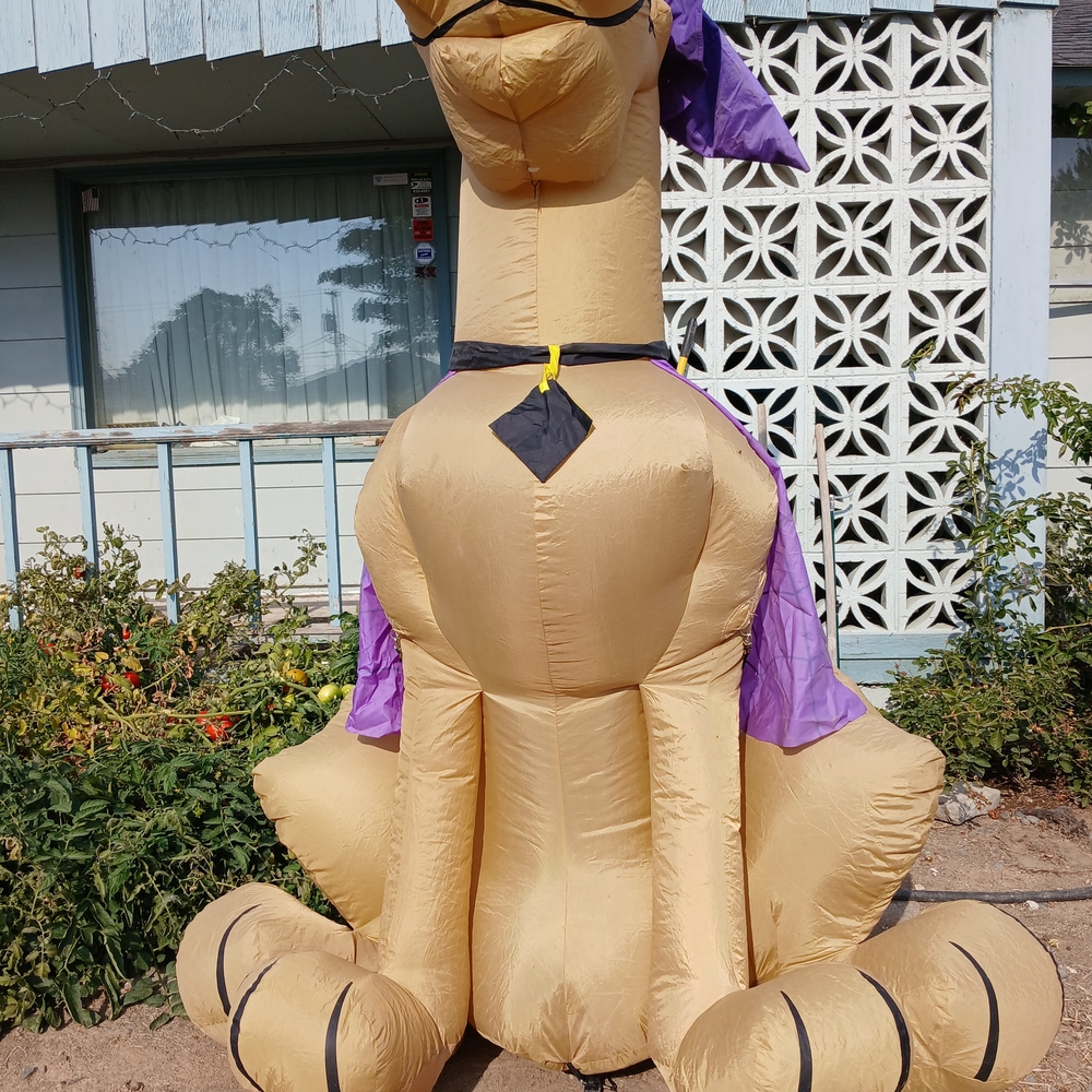 Witch Scooby Doo 7ft